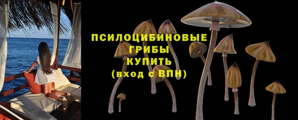 синтетический гашиш Лихославль