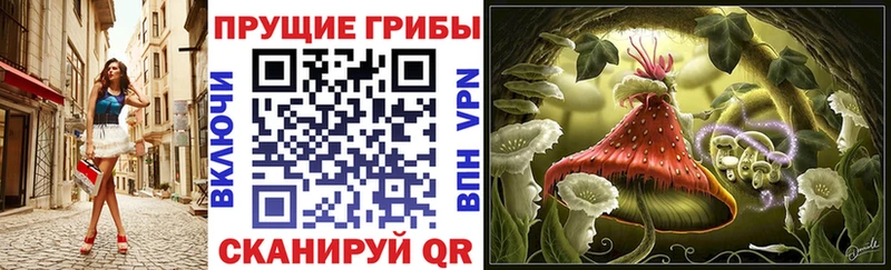 сайты даркнета официальный сайт  Ясный  Псилоцибиновые грибы MAGIC MUSHROOMS 